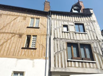 Tocht Fietstoerisme Saint-Père-sur-Loire - Sully sur Loire à Beaugency  - Photo