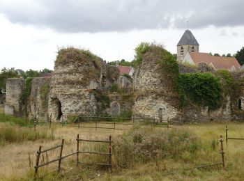 Percorso Marcia Beynes - Beynes - Photo