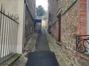 Randonnée Marche Le Vésinet - En passant par Bougival  - Photo