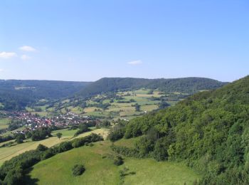 Tour Zu Fuß Sinntal - Schwarzenfels - Rundweg Hopfenberg - Photo