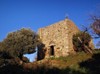 Randonnée A pied Occhiatana - Boucle de san Bastianu - Photo