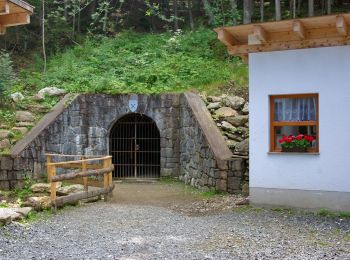 Tour Zu Fuß Lam - La 1 Lam - Osser (Künischer Grenzweg) - Photo