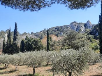 Excursión Senderismo Tarascon - CR_Domitia_BA_23_Tarascon_St-Remy-Provence_20220404 - Photo