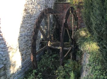 Excursión Senderismo Hannut - Marche à petit hallet - Photo