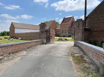Trail Walking Tubize - Sainte Renelde - Photo