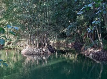 Trail On foot Ferreux-Quincey -  FERREUX-QUINCEY à Saint-AUBIN - Photo
