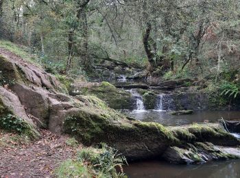 Tour Wandern Treffendel - treffendel - Photo