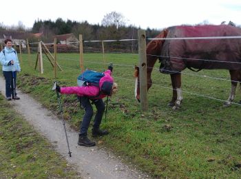 Excursión Senderismo Louviers - Rando Pierre du 1er Février 2021 - Photo