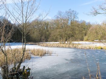 Randonnée A pied Horn-Bad Meinberg - Themenweg M 