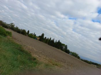 Percorso Marcia Villasavary - Villasavary Boucle des Paysages - Photo