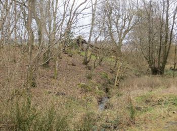 Excursión A pie  - West Fife Woodlands Way - Photo