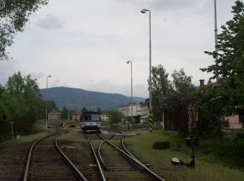 Tour Zu Fuß Mährisch Altstadt - [Č] Staroměstský pevnostní okruh - Photo