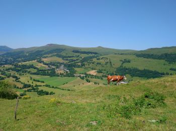 Randonnée Marche Dienne - Cantal - le Chaumeil - Dienne et Rocher de Laqueille - 9km 265m 2h50 - 2019 07 05 - Photo