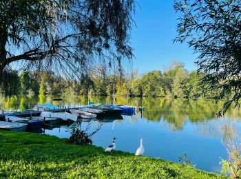 Tocht Stappen Berlare - donkmeer_wandelroute - Photo