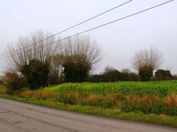 Trail On foot Poperinge - Helleketelbos - Photo