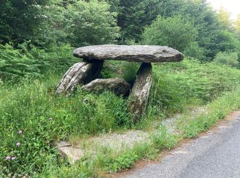 Randonnée Marche Labastide-Rouairoux - 34 Dolmen de la Gante au dessus de COURNIOU  - Photo