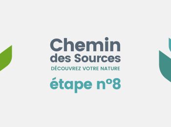 Tocht Stappen Theux - Chemin des Sources |ETAPPE 8 THEUX – LA REID - Photo