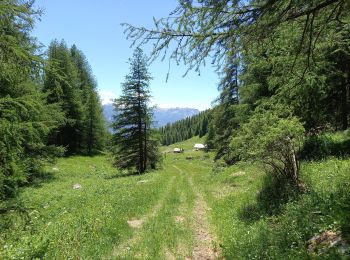 Excursión Senderismo Embrun - Lac de l'Hivernet 16.6.24 - Photo