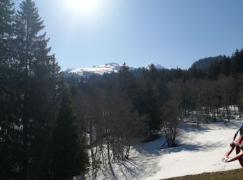 Trail Snowshoes Manigod - la cime d orcieres  - Photo