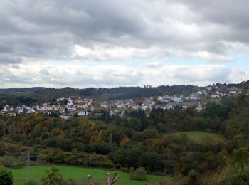 Trail On foot Frauenberg - Saar-Hunsrück-Traumschleife: Graefin Loretta - Photo