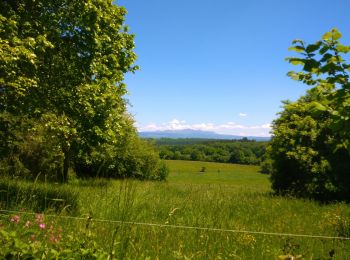 Randonnée Marche Saint-Étienne-aux-Clos - entre Limousin et Auvergne  - Photo