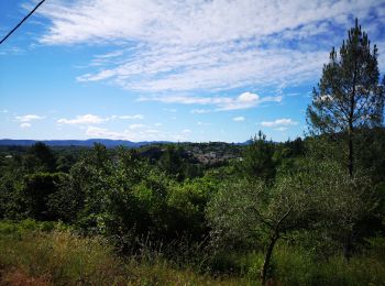 Tour Nordic Walking Saint-Ambroix - 06.06.20 montèze  - Photo