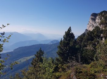 Percorso Marcia Lans-en-Vercors - Vertige des Cimes - Grand Cheval - Pic St Michel - Col de  l Arc - Photo