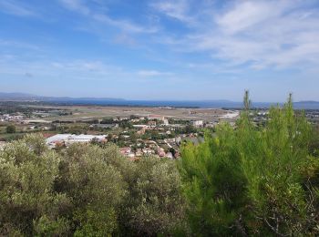 Trail Road bike Hyères - Hyères J1 P13 - Photo