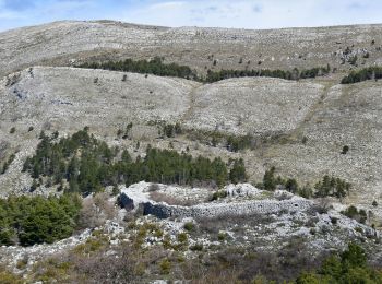 Tocht Stappen Saint-Vallier-de-Thiey - St Vallier de Thiey - Col du Ferrier - Castellaras de la Malle - Col du Pilon - Pierre Druidique - Photo