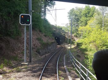 Tocht Te voet Trontano - M02 - Marone - Pizzo Marcio - Photo