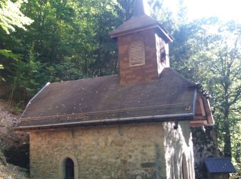 Randonnée Marche La Chapelle-d'Abondance - J13GR5Nord - Photo