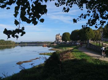 Trail Walking Montsoreau - Montsoreau - GR3 Turquant Parnay Souzay - 15km 185m 3h30 - 2023 10 01 - Photo