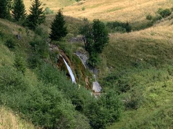 Randonnée Marche Taninges - Les Munes - Photo