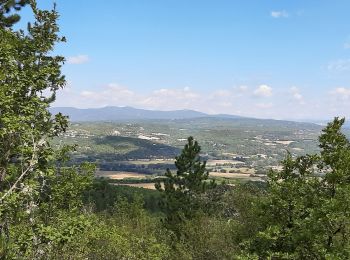 Tocht Stappen Vitrolles-en-Luberon - vitrolles en Lubéron. aire des mascas - Photo