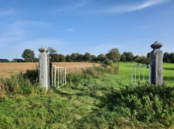 Tocht Stappen Dalhem - dalhem-da11 - Photo