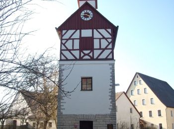 Percorso A piedi Hersbruck - Alfalter-Großviehberg - Photo