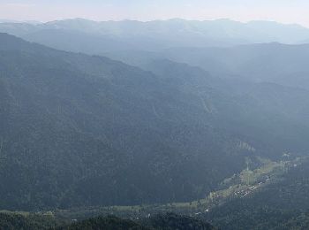 Trail On foot Brasov - Brașov (Valea Cetății) - Culmea Crucuru - Cabana Postăvaru - Photo