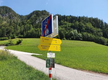 Percorso A piedi Gemeinde Bad Häring - Wanderweg 60 - Pölvenrundweg - Photo