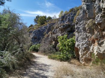 Tour Mountainbike Narbonne - NARBONNE-Plage ... vers les étangs 