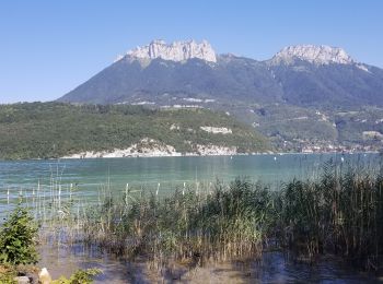 Percorso Marcia Saint-Jorioz - sentier de Roselieres Annecy  - Photo