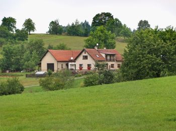 Excursión A pie Albrechtice - NS Údolí Moravské Sázavy - Photo