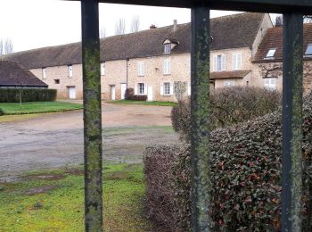 Percorso Marcia Voisins-le-Bretonneux - 210204 golf - Photo