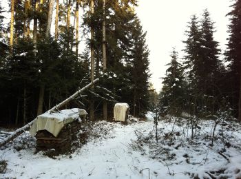 Trail On foot Altishofen - Langnau - Hint. Huebäbni - Photo