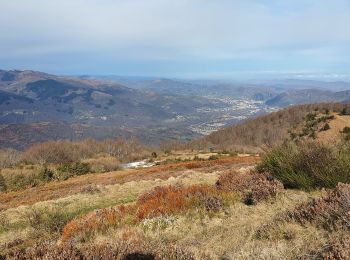 Trail Walking Saint-Paul-de-Jarrat - mont fourcat - Photo