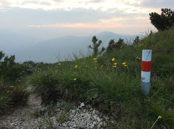 Trail On foot Capriasca - Cattle Trail - Photo