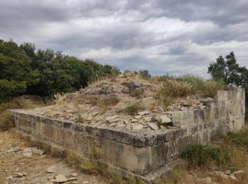 Tocht Stappen Saint-Côme-et-Maruéjols - Saint Come - Oppidum et Source - Photo