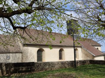 Tour Zu Fuß Hauteville-lès-Dijon - Du Fort de Hauteville au Plain Saint-Laurent - Photo