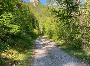 Randonnée Marche Champcella - Col de Tramouillon - Photo