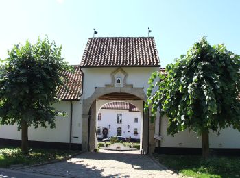 Percorso A piedi Kortenaken - Liefkensrodewandelpad - Photo