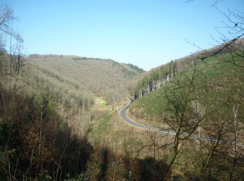 Trail Walking Putscheid - AP Gralingen - Photo